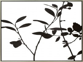 JADLC165961