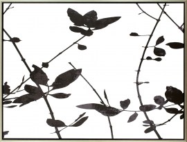 JADLC165971