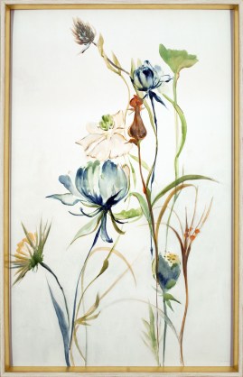 SOJAR-4953